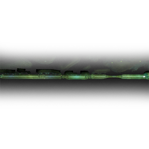 Coral Fields preview